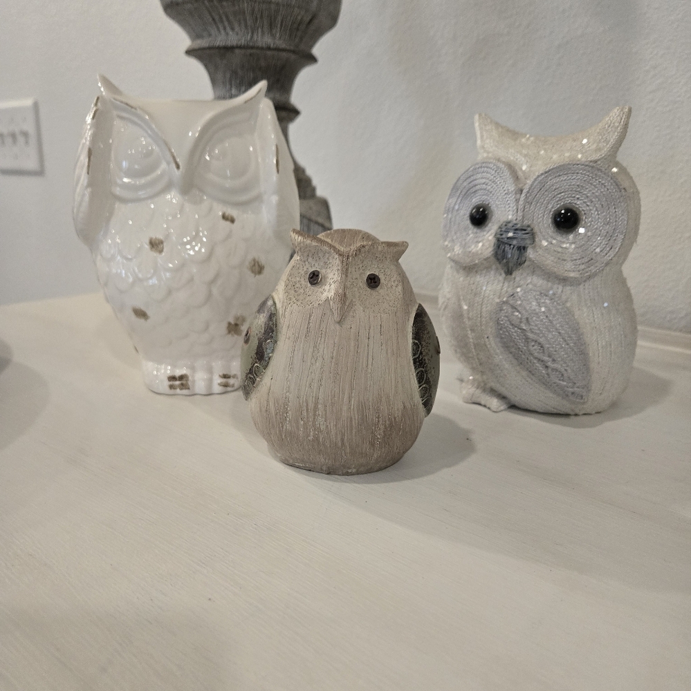 Owl Decor Set